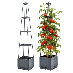 2Pack Raised Garden Bed Boxes with Trellis 56" Tomato Self-Watering Planter Box Indoor Outdoor with 4 Adjustable Heights 10 Clips 65FT Ties for Climbi